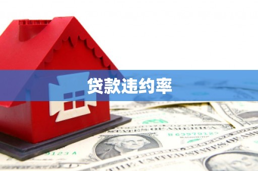 印台贷款违约率