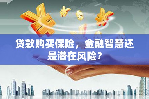 兰屿贷款购买保险，金融智慧还是潜在风险？