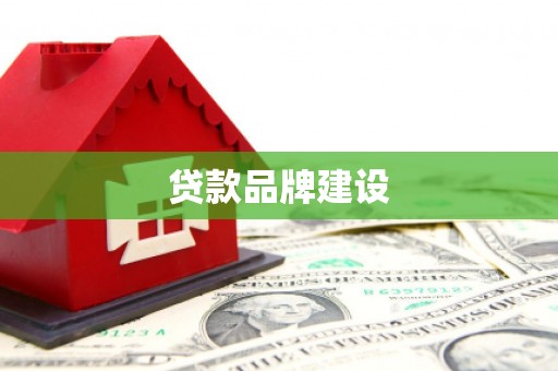 台西贷款品牌建设