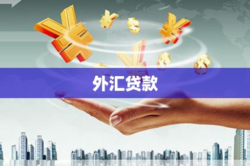 张掖外汇贷款