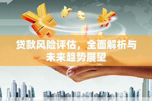 新邱贷款风险评估，全面解析与未来趋势展望