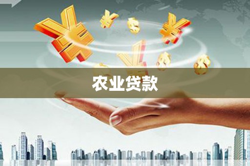 沿河农业贷款