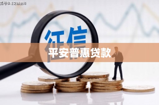 靖州平安普惠贷款