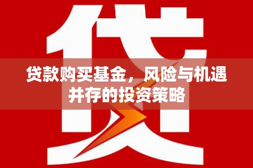 南海贷款购买基金，风险与机遇并存的投资策略