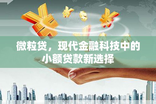 迪庆微粒贷，现代金融科技中的小额贷款新选择
