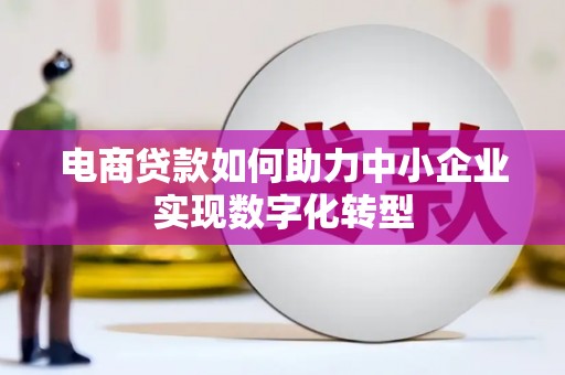 汤原电商贷款如何助力中小企业实现数字化转型
