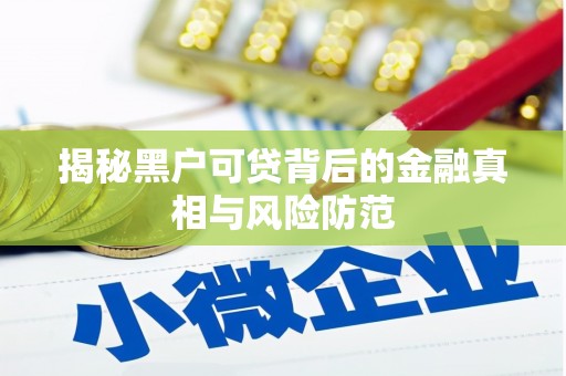 会同揭秘黑户可贷背后的金融真相与风险防范