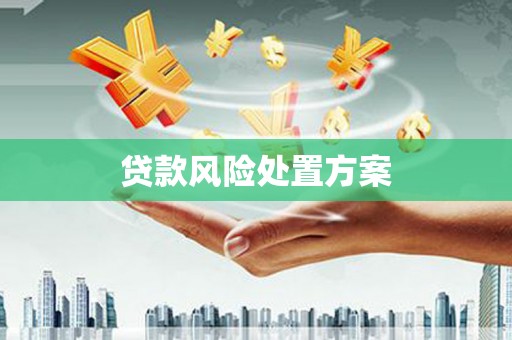 荣县贷款风险处置方案