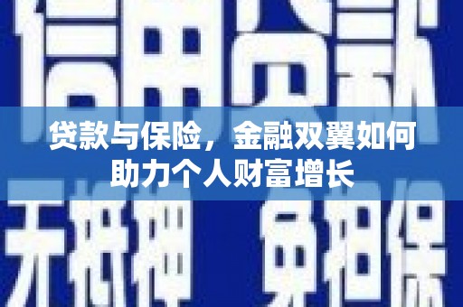 巧家贷款与保险，金融双翼如何助力个人财富增长