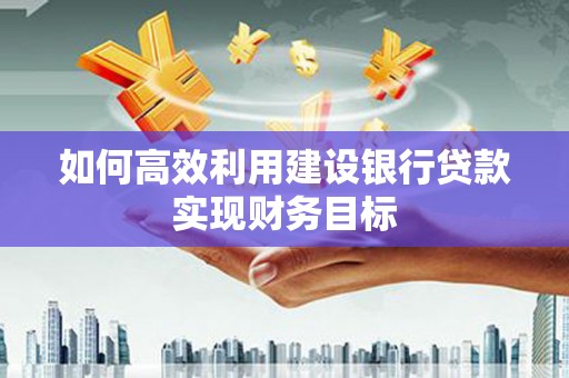 南乐如何高效利用建设银行贷款实现财务目标