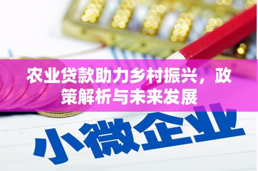 威宁农业贷款助力乡村振兴，政策解析与未来发展