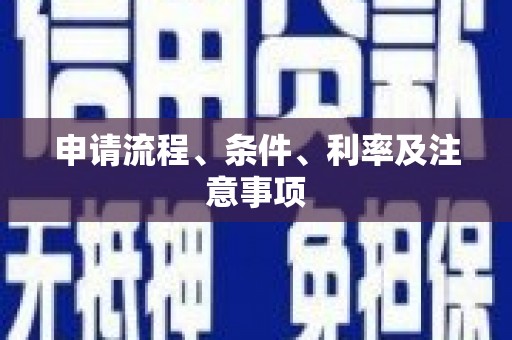 延津申请流程、条件、利率及注意事项