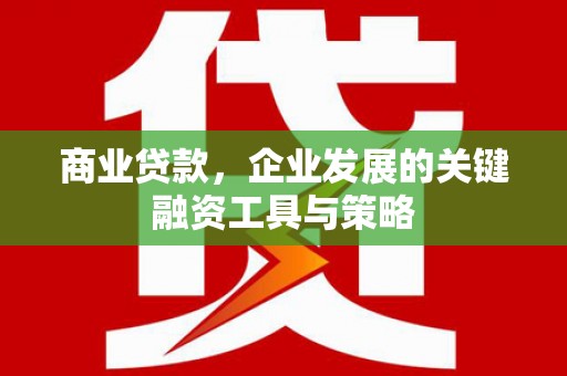 叶城商业贷款，企业发展的关键融资工具与策略