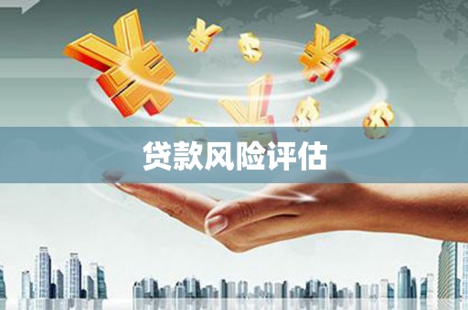 长寿贷款风险评估