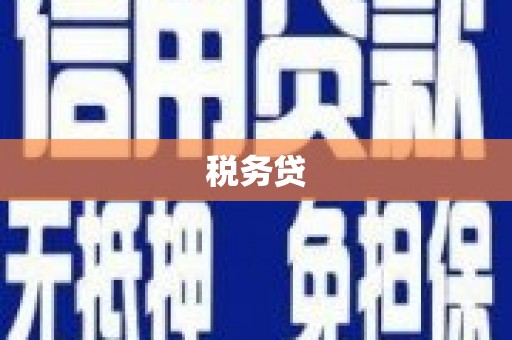乡城税务贷