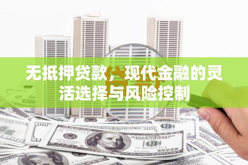 苑里无抵押贷款，现代金融的灵活选择与风险控制