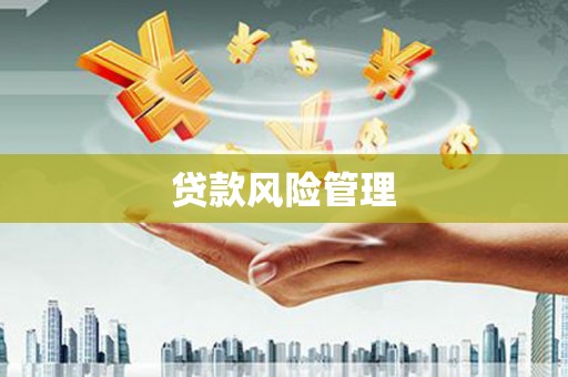 玉树贷款风险管理