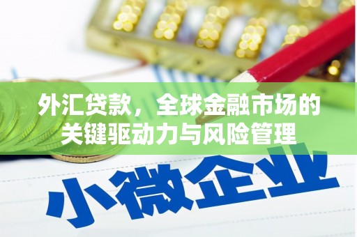 浮梁外汇贷款，全球金融市场的关键驱动力与风险管理
