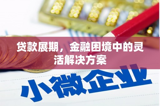 德保贷款展期，金融困境中的灵活解决方案