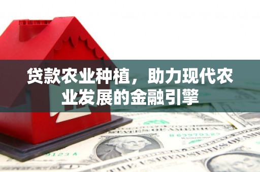 济宁贷款农业种植，助力现代农业发展的金融引擎