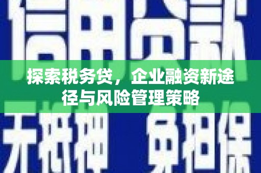 港南探索税务贷，企业融资新途径与风险管理策略