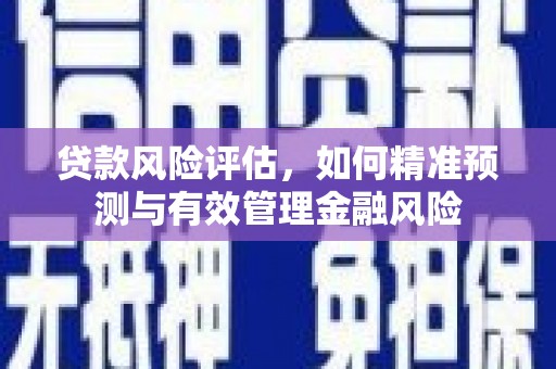 枋山贷款风险评估，如何精准预测与有效管理金融风险