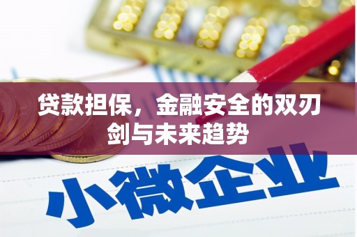邵东贷款担保，金融安全的双刃剑与未来趋势