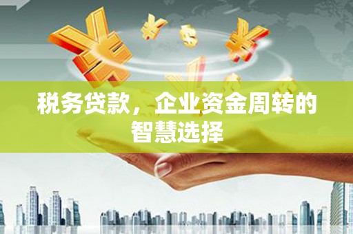 玛曲税务贷款，企业资金周转的智慧选择
