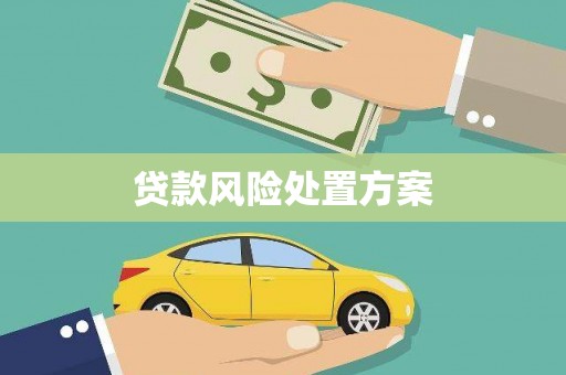 埔心贷款风险处置方案