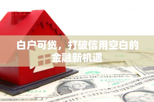 文成白户可贷，打破信用空白的金融新机遇