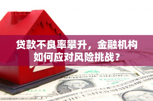 峰峰矿区贷款不良率攀升，金融机构如何应对风险挑战？