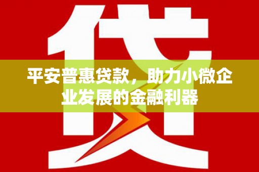 临沭平安普惠贷款，助力小微企业发展的金融利器