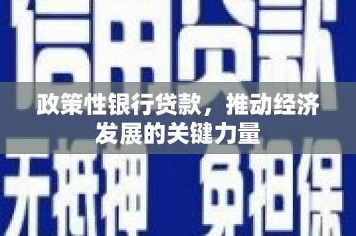 隆阳政策性银行贷款，推动经济发展的关键力量