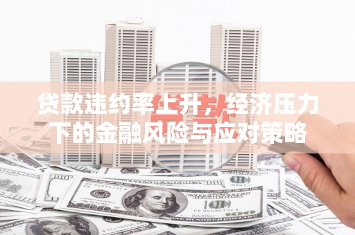 木兰贷款违约率上升，经济压力下的金融风险与应对策略