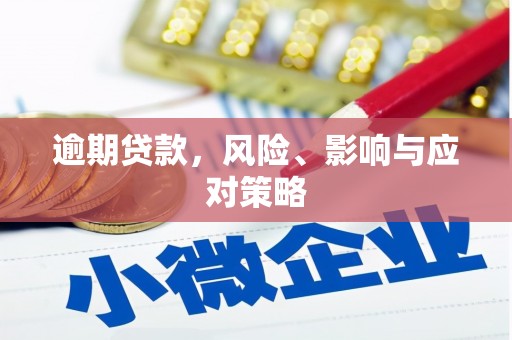 新郑逾期贷款，风险、影响与应对策略