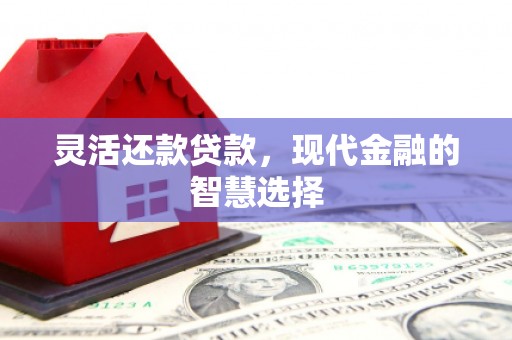 金峰灵活还款贷款，现代金融的智慧选择