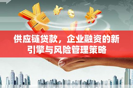 保税区供应链贷款，企业融资的新引擎与风险管理策略