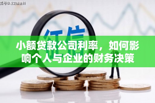 新泰小额贷款公司利率，如何影响个人与企业的财务决策