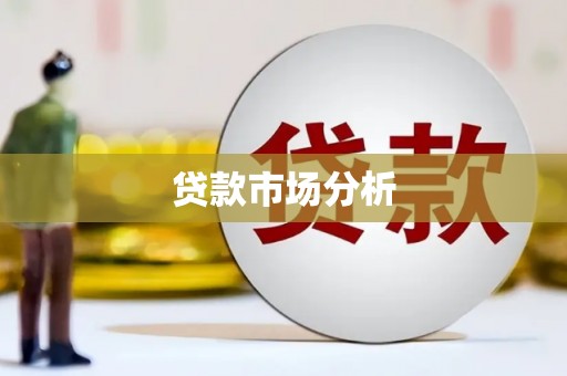 长丰贷款市场分析
