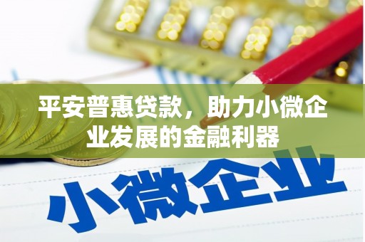 布拖平安普惠贷款，助力小微企业发展的金融利器