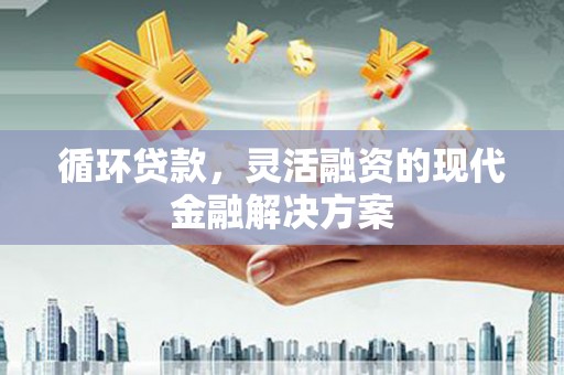 边坝循环贷款，灵活融资的现代金融解决方案