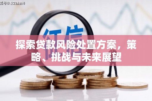苏家屯探索贷款风险处置方案，策略、挑战与未来展望