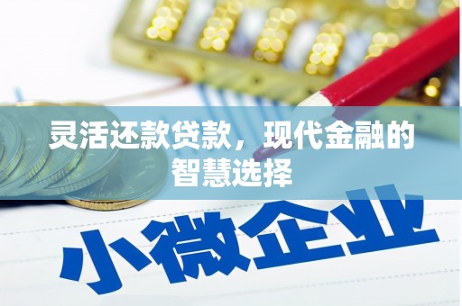 南乐灵活还款贷款，现代金融的智慧选择