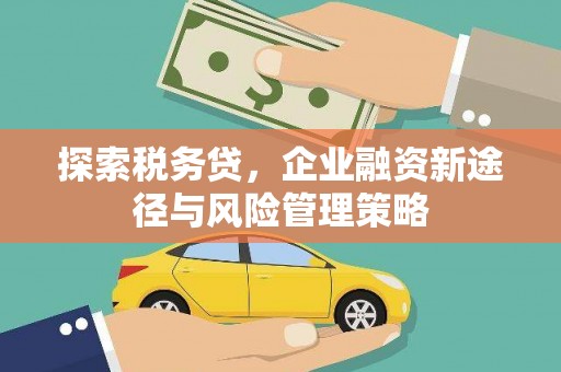 项城探索税务贷，企业融资新途径与风险管理策略