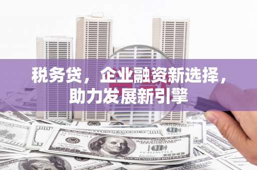 武邑税务贷，企业融资新选择，助力发展新引擎