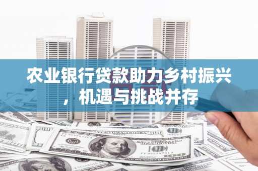 东台农业银行贷款助力乡村振兴，机遇与挑战并存