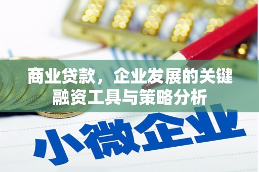 南召商业贷款，企业发展的关键融资工具与策略分析
