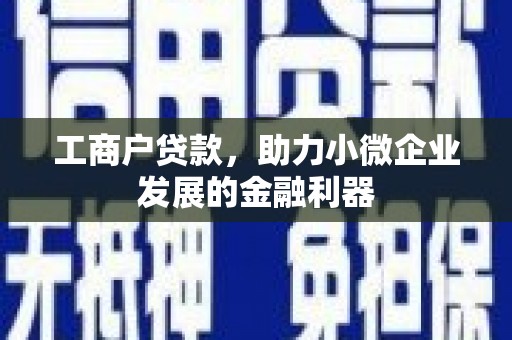 亭湖工商户贷款，助力小微企业发展的金融利器