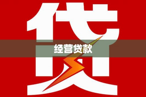 环江经营贷款