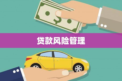 九如贷款风险管理